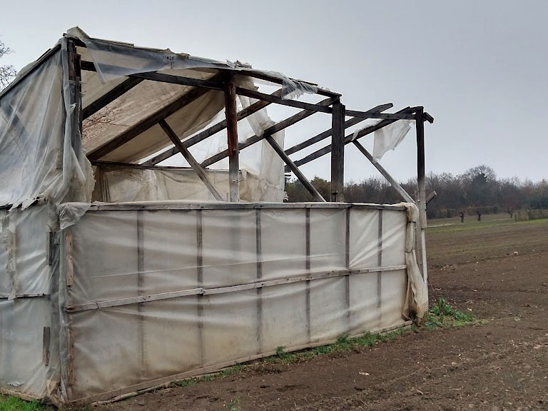Auf einem kahlen Acker steht ein aus Holzlatten und Folie gebautes Gewächshaus, die Folie ist teilweise beschädigt/zerrissen und bedeckt nur noch einen Teile der Konstruktion.